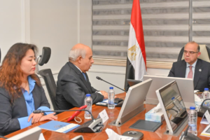 Linglong Advances $2 Billion Egyptian Tyre Complex as Cairo Targets an Integrated Automotive Supply Chain
